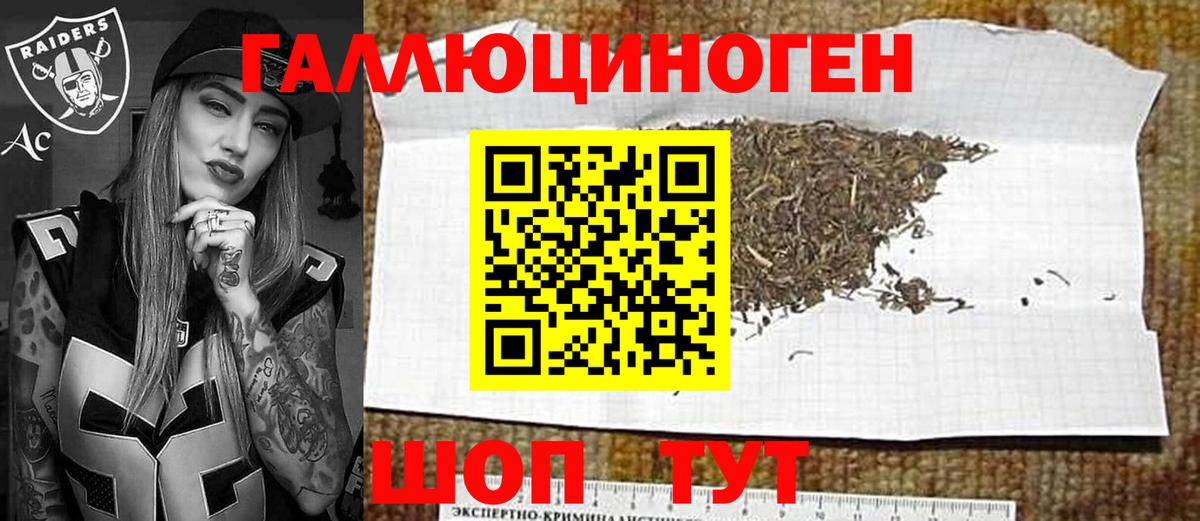 Галлюциногенные грибы Cubensis Корсаков